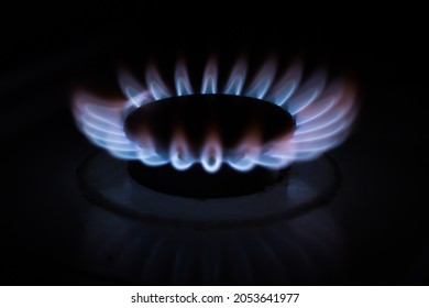 Gas flame of a gas stove burner. Blue natural gas blaze.