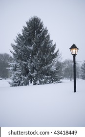 A Gas Lamp Post And Fresh Snow On This Pine Tree In New Jersey.