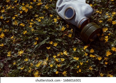 Gas Mask To Protect The Lungs And Face From Smoke And Radiation. Exclusion Zone. Accident At A Nuclear Power Plant. Disaster Resumption. The Accident At The Fukushima Power Plant. 