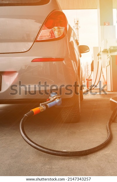 Gas station. Pump fuel petrol in tank car.\
Gasoline oil in nozzle. Close-up of the hand and the fuel gun.\
Blurred background