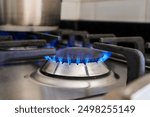 Gas stove. Gas is burning. Kitchen gas stove for cooking.