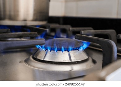 Gas stove. Gas is burning. Kitchen gas stove for cooking.