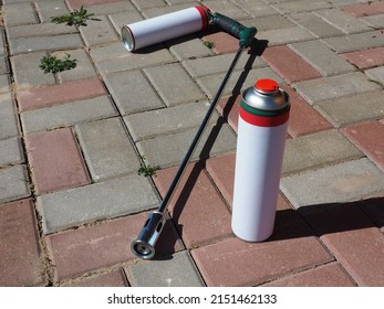 Gas Weed Burner. Tool For Organically Removing Weeds, For Igniting Charcoal, Thawing. Environmentally Friendly Weed Killer. Pavement Care