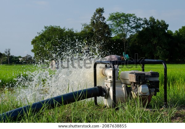 Gasoline\
water pump recoil start and background is blue sky. Thai farmer are\
using to pump water for use in\
agriculture.
