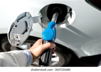 Gassing Up A Car, Modern Gas Station,Fuel And Power Generation