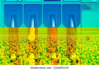 Gassing Up A Car, Modern Gas Station,Fuel And Power Generation