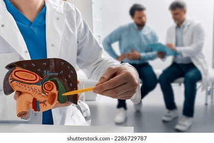Gastroenterologist doctor showing gallbladder on anatomical model of liver with gallbladder for male patient with side pain in medical office. Treatment of gallbladder diseases and cholelithiasis - Shutterstock ID 2286729787