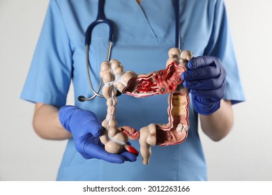 Gastroenterologist holding human colon model on white background, closeup - Shutterstock ID 2012263166