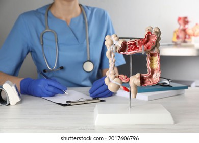 Gastroenterologist with human colon model at table in clinic, closeup