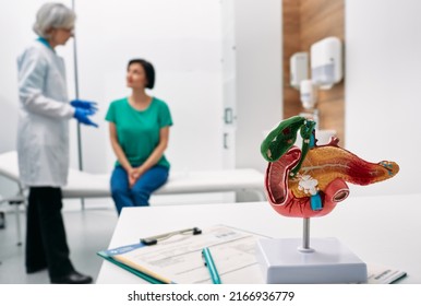 Gastroenterology consultation. Anatomical model of pancreas on doctor table over background gastroenterologist consulting woman patient with gastrointestinal disorders - Shutterstock ID 2166936779