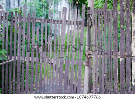 Image, Stock Photo Stories from the fence .156