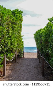 Gate to the beach