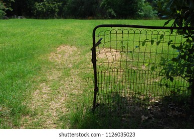 Gate To Cemetary