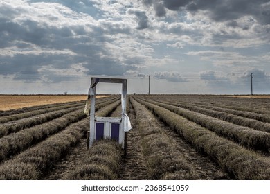 gate in field, gray sky with clouds - Shutterstock ID 2368541059