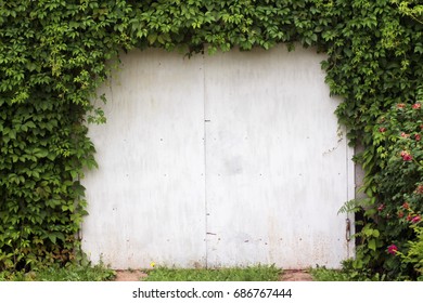 gate, greenery wall