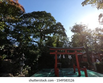 Ikukunitama Hd Stock Images Shutterstock