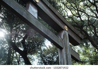 Gate Of Meji Shrine,The Beautyful Place