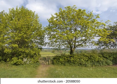 A gate on a footpath.