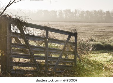 Gate On Missouri Farm In Early Morning