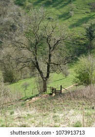 A Gated Access To Thors Cave In The Manifold Valley. The Peak District National Park.