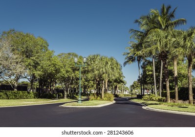 Gated Community Road In Florida