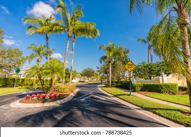 Gated Community Road With Palms, South Florida