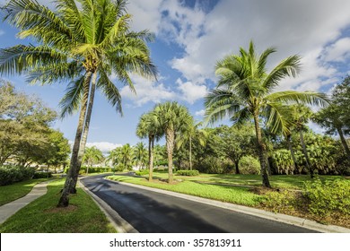 Gated Community Road In South Florida