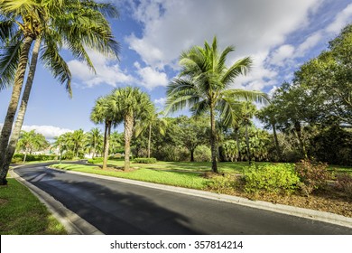 Gated Community Road In South Florida