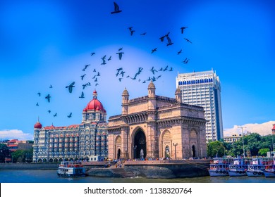 584 Birds Gateway Of India Images, Stock Photos & Vectors | Shutterstock