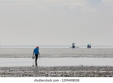 Gathering Shellfish On The Mudflats Of A Thai Estuary, Thailand