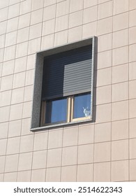 Gatto, cat, finestra, cittá, architettura, 