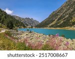  Gaube Lake is a lake in the French Pyrenees, in the department of the Hautes-Pyrénées, near the town of Cauterets.