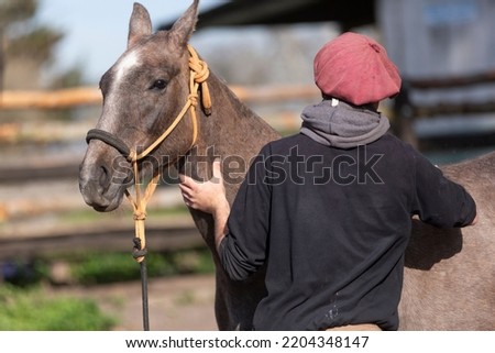 a gaucho combs and cleans a horse. Horse care, love for animals.