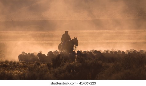 Gaucho With A Herd Of Sheep In Patagonia