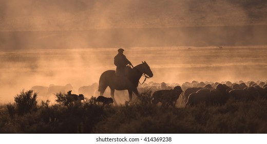 Gaucho With A Herd Of Sheep In Patagonia