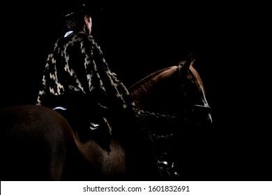 Gaucho  Horse Horse Polo Argentina Criollo Campo