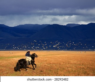 A Gaucho Riding His Horse In Patagonia, Argentina