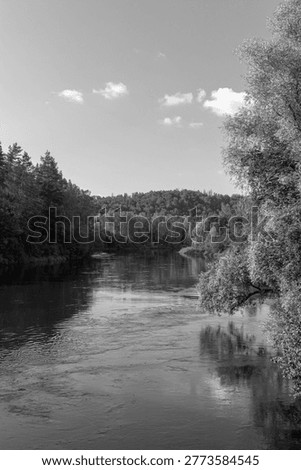 Gauja river flowing between lush greenery landscape summer season view at Sigulda, Vidzeme region, Latvia in black and white