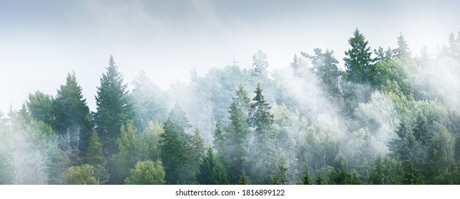 Gauja Flusstal und Pinienwald in einer Wolke von dicken geheimnisvollen Morgennebel bei Sonnenaufgang. Sigulda, Lettland. Atemberaubende Panoramasicht. Reine Natur, Umweltschutz, Ökotourismus