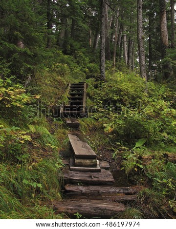 Gavin Hill Trail, Sitka, Alaska
