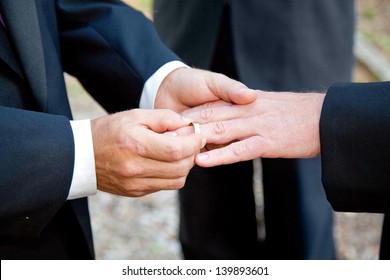 Gay couple exchanging rings at their wedding ceremony