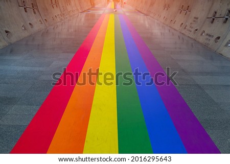 Gay pride rainbow colors or  LGBT colors is in underground tunnel.Transport walkway by Tunnel Boring Machine for infrastructure subway with raw concrete segments wall.Light at the end of the tunnel.