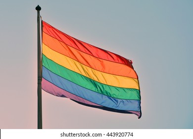 Gay Rainbow (LBGT) Flag