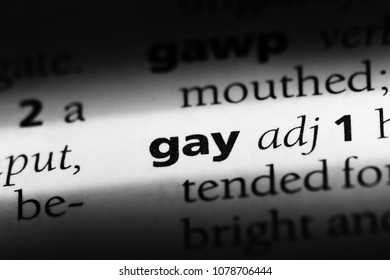 gay definition in dictionary