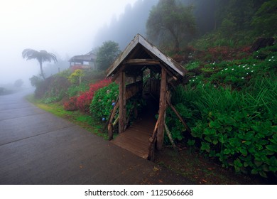 Gazebo At Les Makes In Saint Louis, Reunion Island