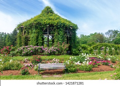 Gazebo surrounded by roses in Elizabeth Park, West Hartford, Connecticut