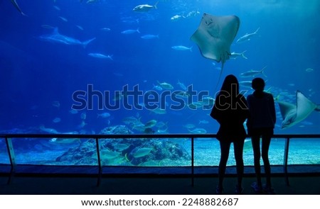 Gazing thru the glass panel of a giant aquarium in Pingtung, Taiwan, tourists get mesmerized by the scene of huge stingrays swimming elegantly among beautiful fish in the mysterious underwater world