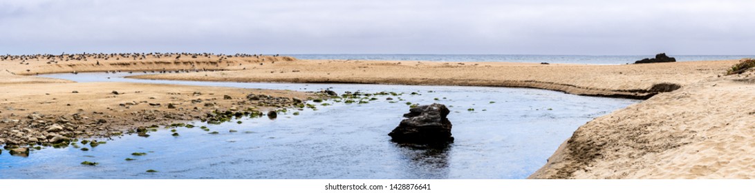 Gazos Creek Meandering Through Sand Dunes, Gazos Creek Año Nuevo State Park, Pacific Ocean Coastline, California