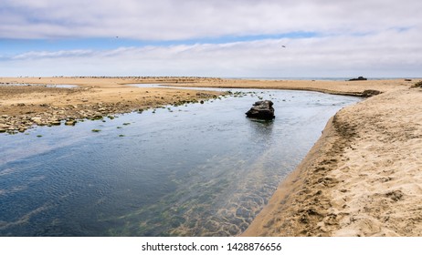 Gazos Creek Meandering Through Sand Dunes, Gazos Creek Año Nuevo State Park, Pacific Ocean Coastline, California