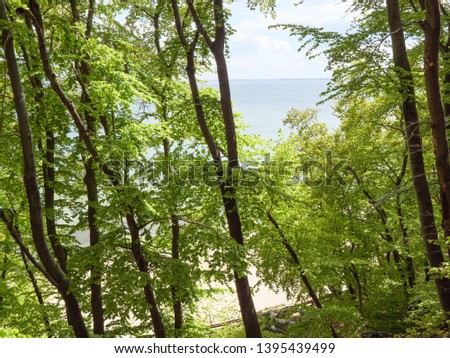 Similar – Image, Stock Photo Seabridge at the Baltic Sea coast in Rerik